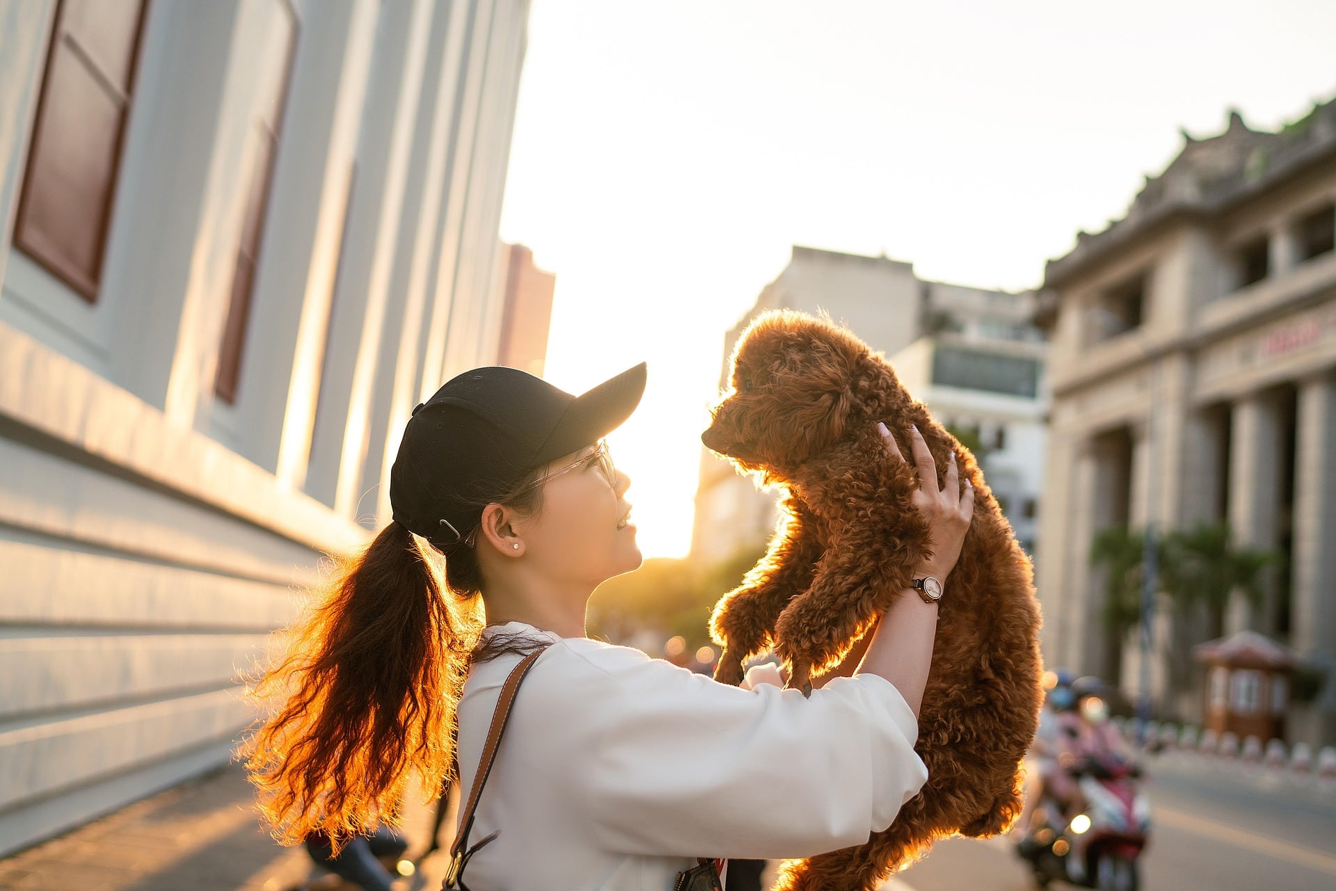 Girl happily lifting her puppy in the air on a street in Portugal, celebrating the joy of pet ownership and highlighting responsible pet care laws.
