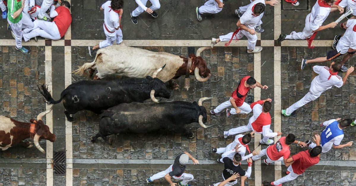 The excitement of the Running of the Bulls in Pamplona during the San Fermín Festival, showcasing one of Spain's most famous and thrilling traditions.