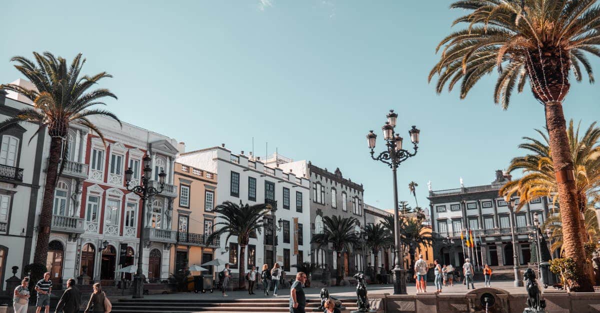 A vibrant day in a city square with people and palm trees in the Canary Islands, Spain, reflecting the region's lively atmosphere.