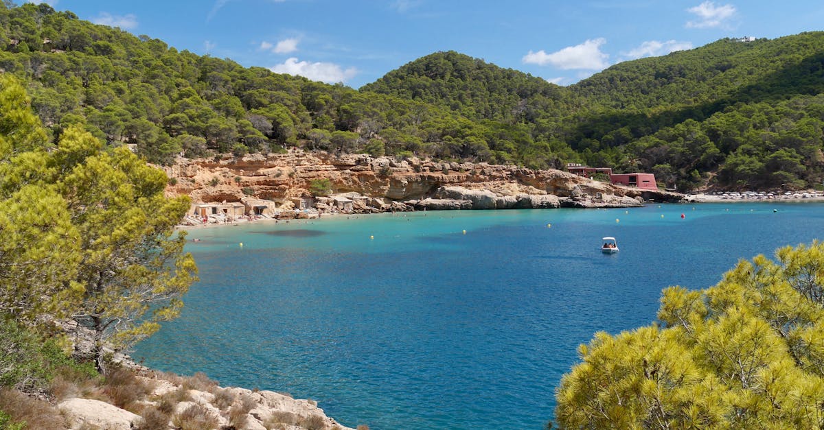 Serene view of a turquoise bay in Ibiza, surrounded by lush hills and a clear sky, showcasing Spain's coastal beauty.