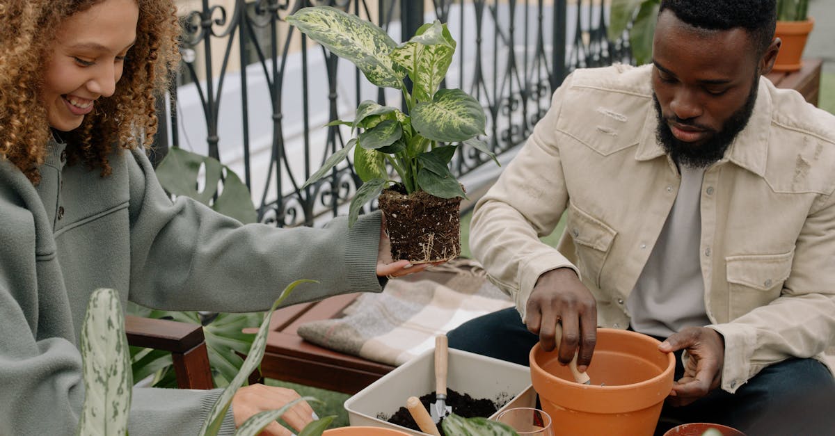 Two friends potting plants together indoors, enjoying a relaxed gardening session on a balcony, showcasing affordable DIY balcony makeover ideas.